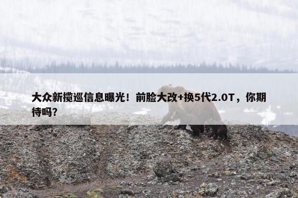 大众新揽巡信息曝光！前脸大改+换5代2.0T，你期待吗？