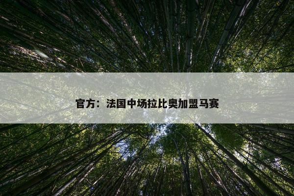 官方：法国中场拉比奥加盟马赛