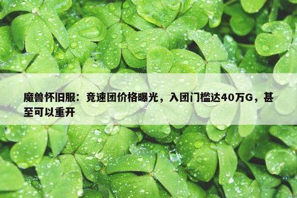 魔兽怀旧服：竞速团价格曝光，入团门槛达40万G，甚至可以重开