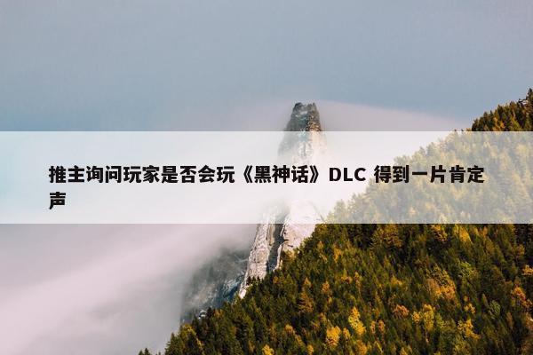 推主询问玩家是否会玩《黑神话》DLC 得到一片肯定声