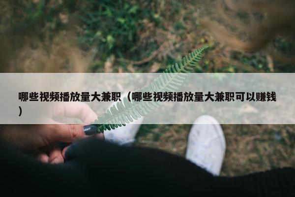 哪些视频播放量大兼职（哪些视频播放量大兼职可以赚钱）