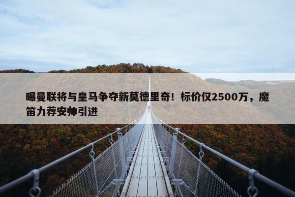 曝曼联将与皇马争夺新莫德里奇！标价仅2500万，魔笛力荐安帅引进