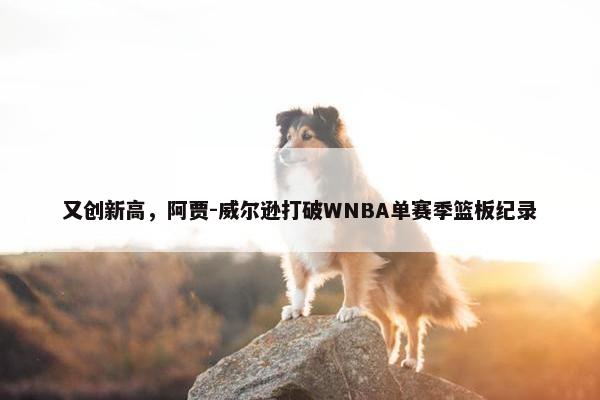 又创新高，阿贾-威尔逊打破WNBA单赛季篮板纪录