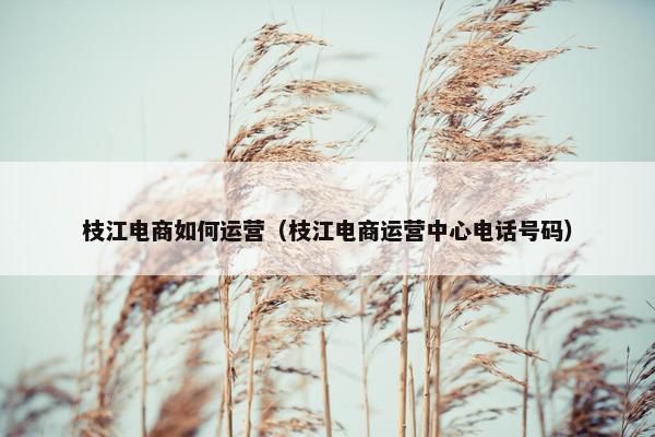 枝江电商如何运营（枝江电商运营中心电话号码）