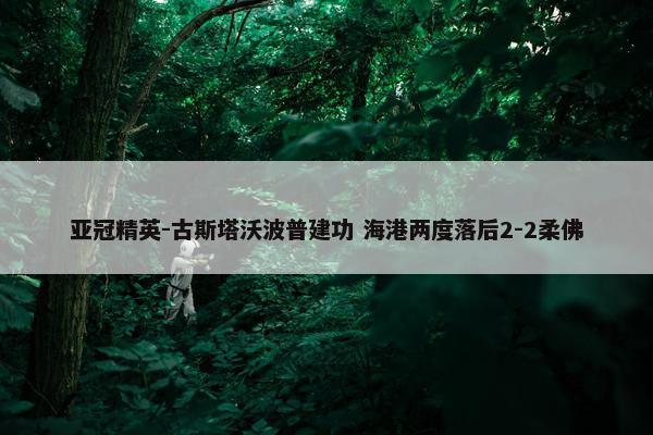 亚冠精英-古斯塔沃波普建功 海港两度落后2-2柔佛