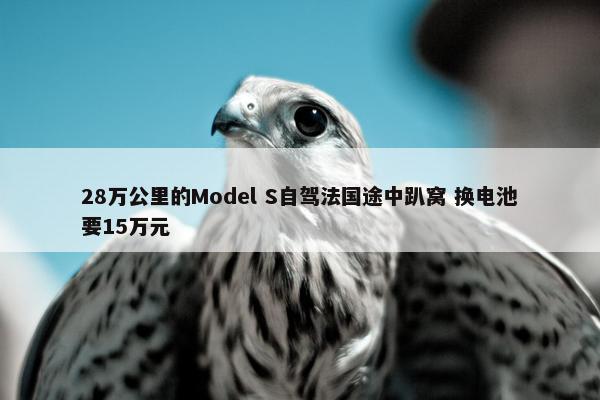 28万公里的Model S自驾法国途中趴窝 换电池要15万元