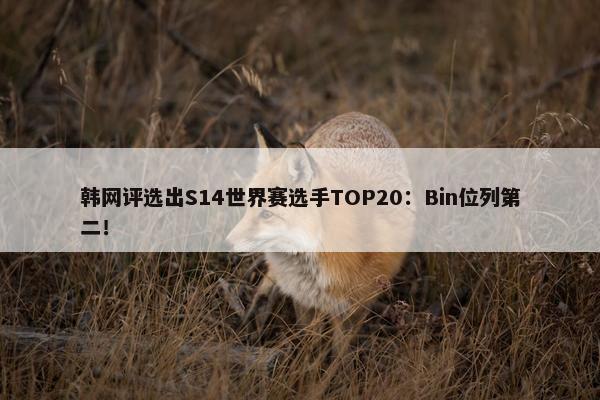 韩网评选出S14世界赛选手TOP20：Bin位列第二！