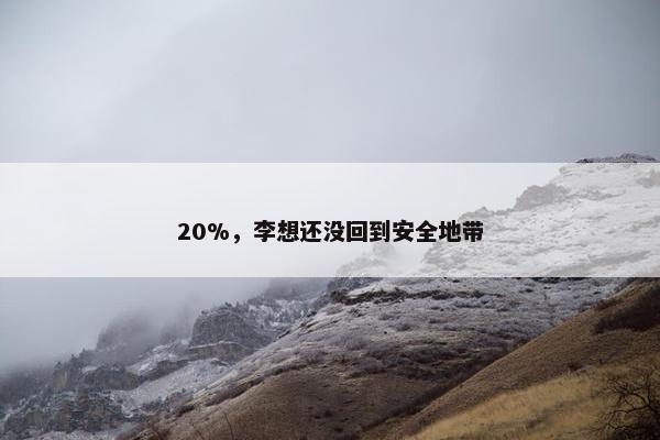 20%，李想还没回到安全地带