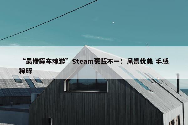 “最惨撞车魂游”Steam褒贬不一：风景优美 手感稀碎