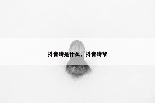 抖音砖是什么，抖音砖爷