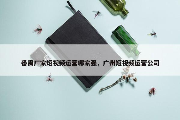 番禺厂家短视频运营哪家强，广州短视频运营公司