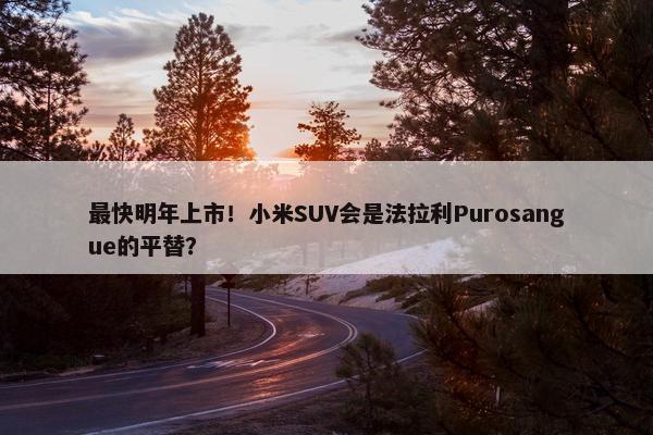 最快明年上市！小米SUV会是法拉利Purosangue的平替？