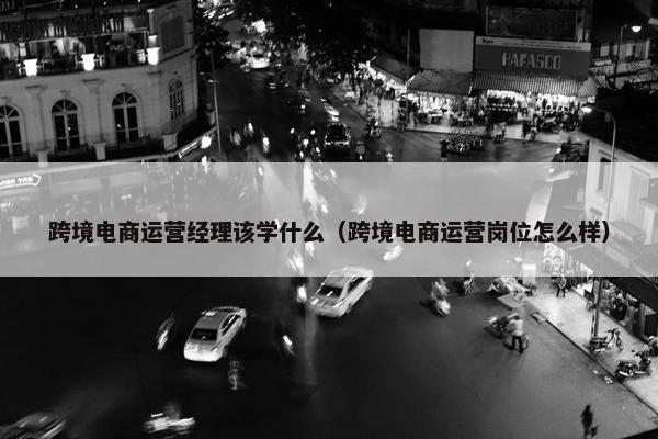 跨境电商运营经理该学什么（跨境电商运营岗位怎么样）