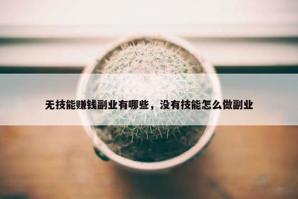 无技能赚钱副业有哪些，没有技能怎么做副业