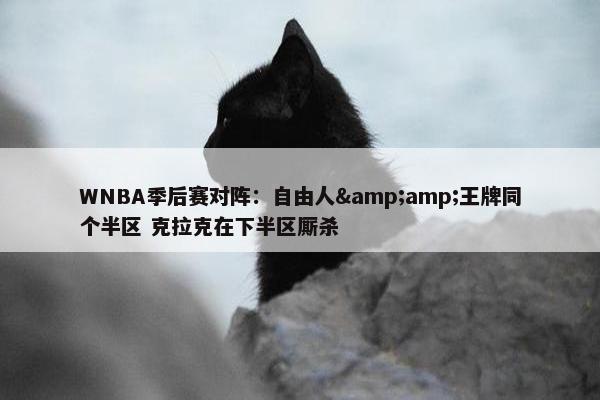 WNBA季后赛对阵：自由人&amp;王牌同个半区 克拉克在下半区厮杀