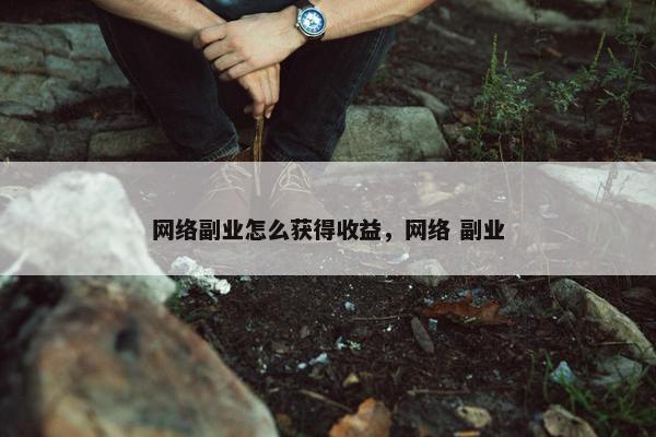 网络副业怎么获得收益，网络 副业