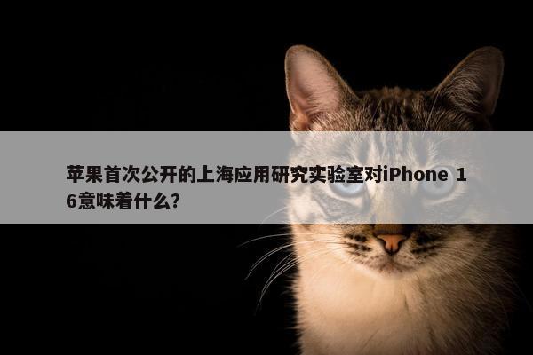 苹果首次公开的上海应用研究实验室对iPhone 16意味着什么？