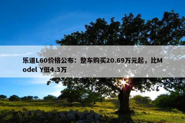 乐道L60价格公布：整车购买20.69万元起，比Model Y低4.3万