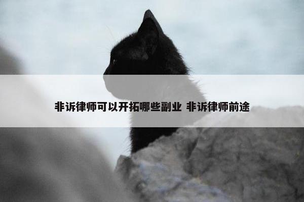 非诉律师可以开拓哪些副业 非诉律师前途