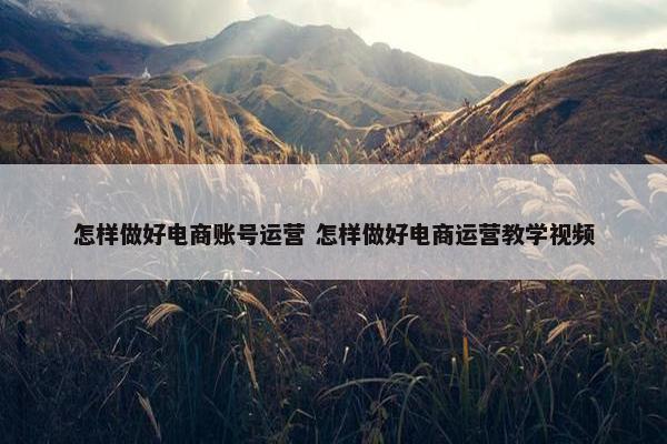 怎样做好电商账号运营 怎样做好电商运营教学视频