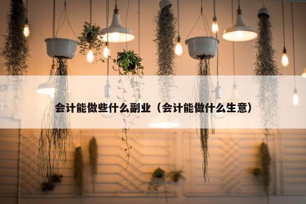 会计能做些什么副业（会计能做什么生意）