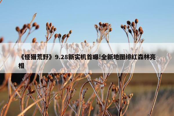 《怪猎荒野》9.28新实机首曝!全新地图绯红森林亮相