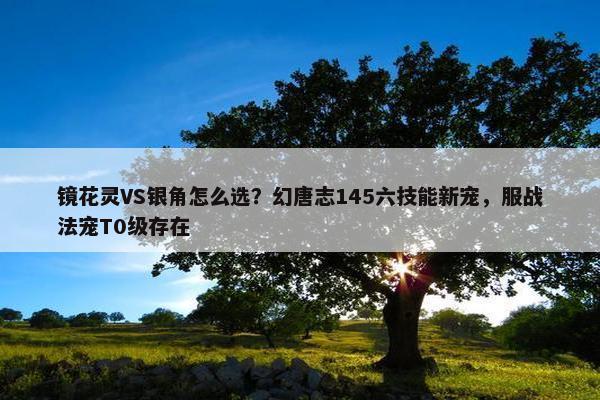 镜花灵VS银角怎么选？幻唐志145六技能新宠，服战法宠T0级存在