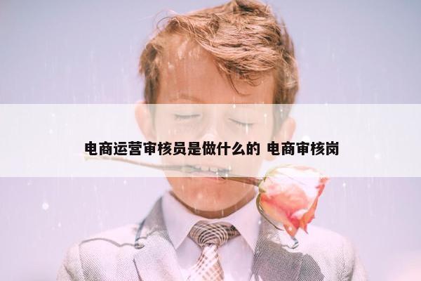 电商运营审核员是做什么的 电商审核岗