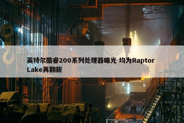 英特尔酷睿200系列处理器曝光 均为Raptor Lake再翻新