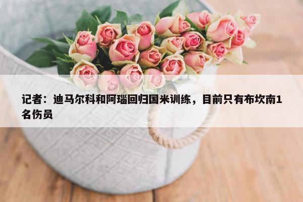 记者：迪马尔科和阿瑙回归国米训练，目前只有布坎南1名伤员