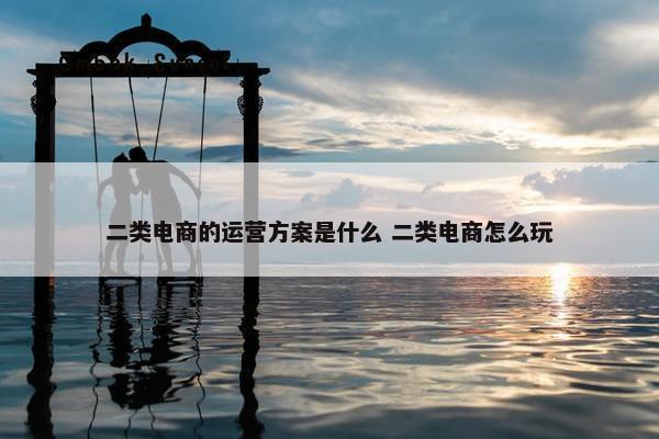 二类电商的运营方案是什么 二类电商怎么玩