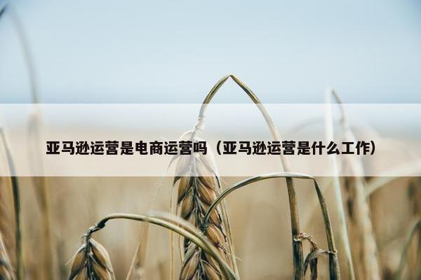 亚马逊运营是电商运营吗（亚马逊运营是什么工作）