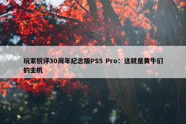 玩家锐评30周年纪念版PS5 Pro：这就是黄牛们的主机