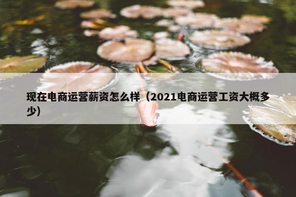 现在电商运营薪资怎么样（2021电商运营工资大概多少）