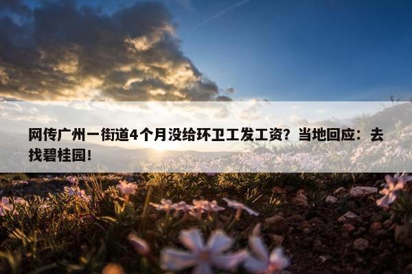 网传广州一街道4个月没给环卫工发工资？当地回应：去找碧桂园！