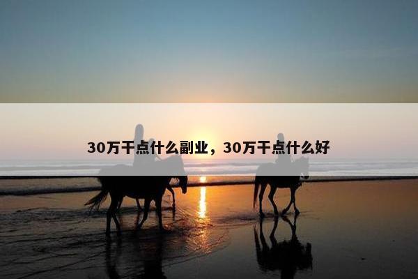 30万干点什么副业，30万干点什么好