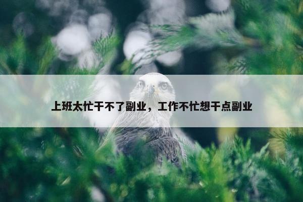 上班太忙干不了副业，工作不忙想干点副业