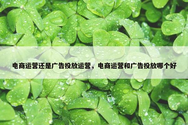 电商运营还是广告投放运营，电商运营和广告投放哪个好