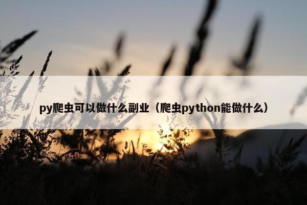 py爬虫可以做什么副业（爬虫python能做什么）