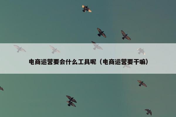 电商运营要会什么工具呢（电商运营要干嘛）