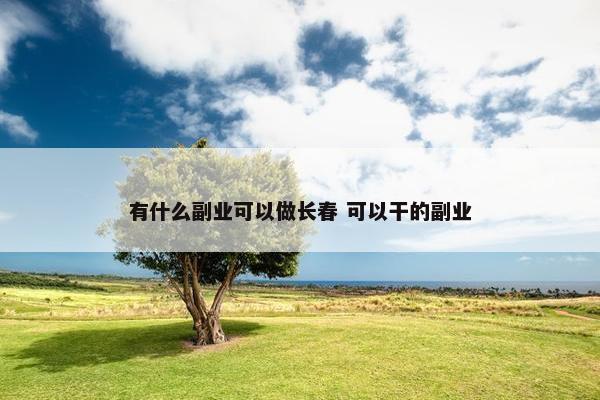 有什么副业可以做长春 可以干的副业