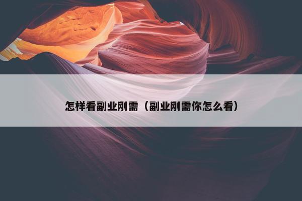 怎样看副业刚需（副业刚需你怎么看）