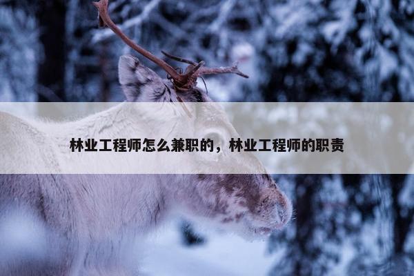 林业工程师怎么兼职的，林业工程师的职责