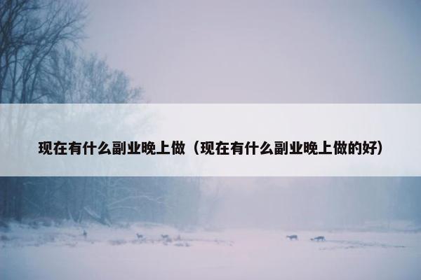 现在有什么副业晚上做（现在有什么副业晚上做的好）