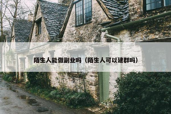 陌生人能做副业吗（陌生人可以建群吗）