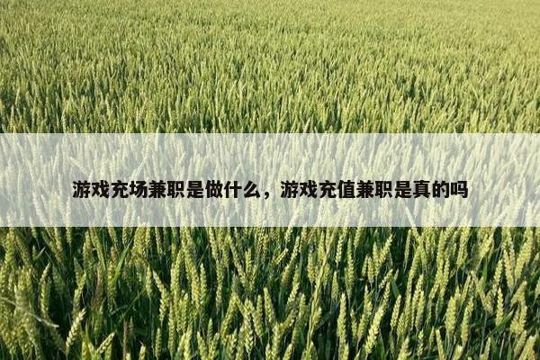 游戏充场兼职是做什么，游戏充值兼职是真的吗