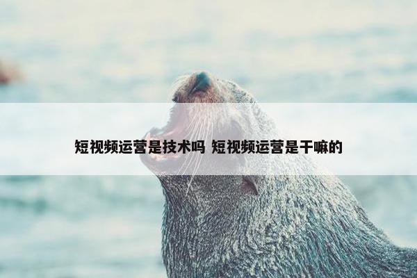 短视频运营是技术吗 短视频运营是干嘛的