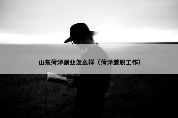 山东菏泽副业怎么样（菏泽兼职工作）