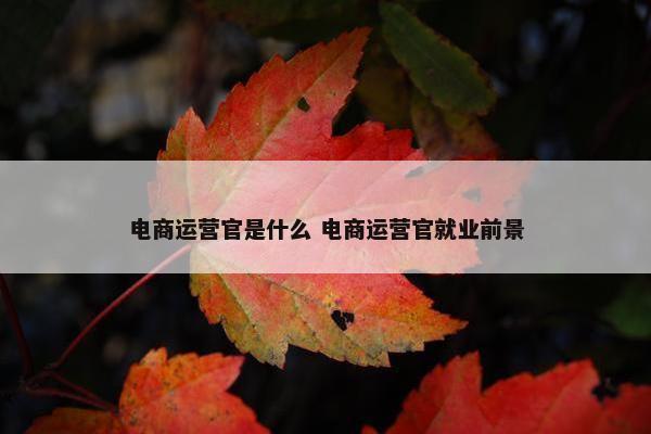 电商运营官是什么 电商运营官就业前景