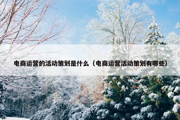 电商运营的活动策划是什么（电商运营活动策划有哪些）